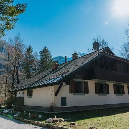 Tuba Apartments Bohinj Exterior photo